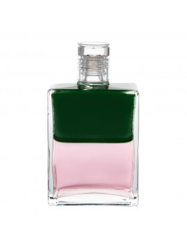 New-Beginning-for-Love-Green-Pink